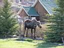2004_0430Image0035.JPG